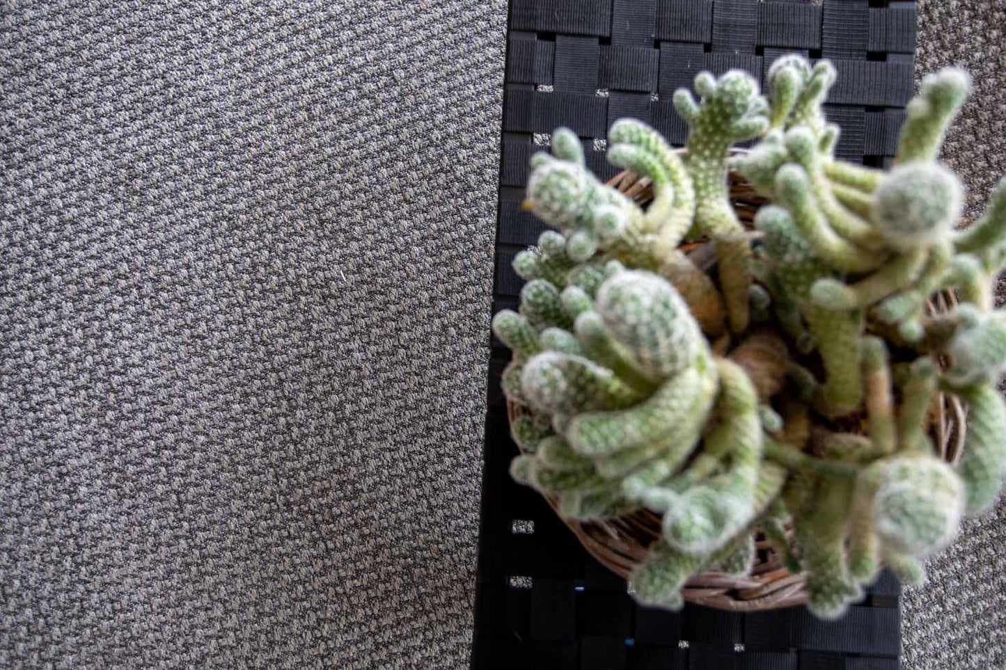 Tugela Indoor Outdoor Rug