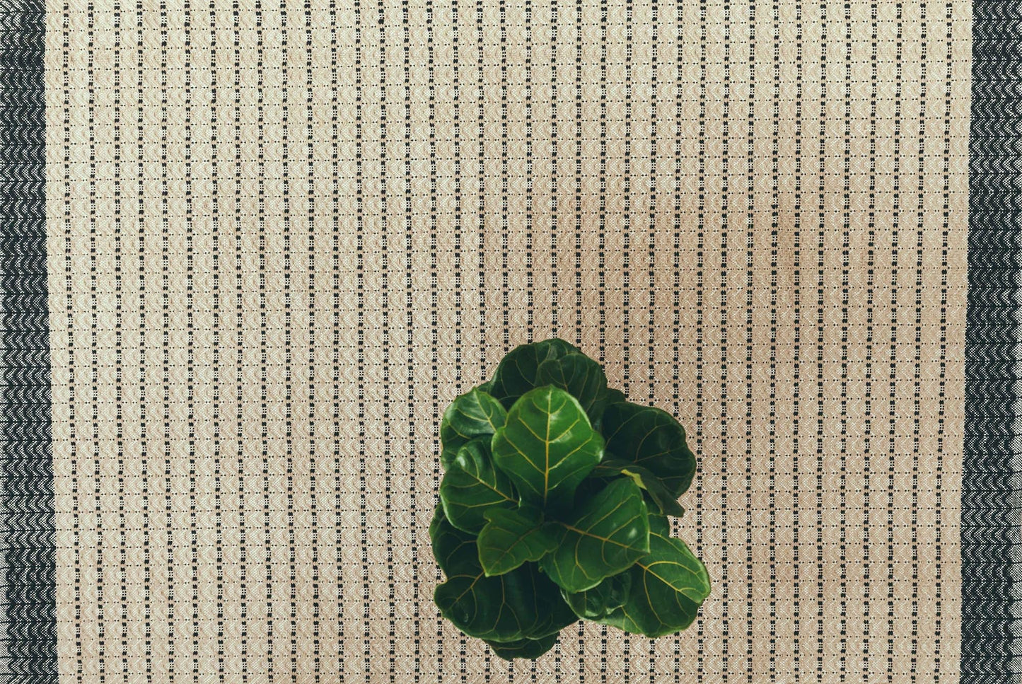 Dune Lightweight Rug